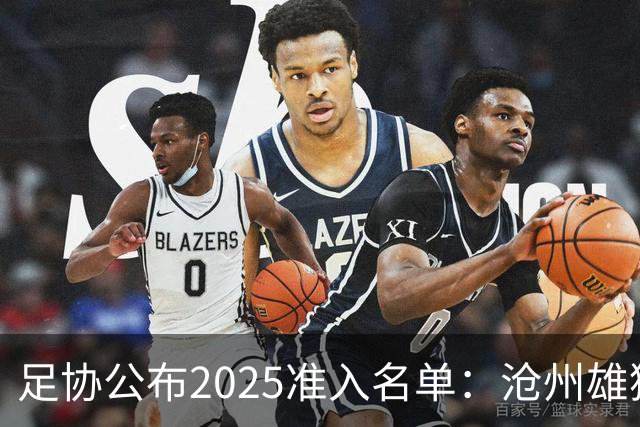 足协公布2025准入名单：沧州雄狮、广州队无缘